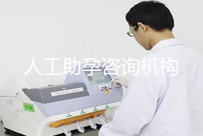 人工助孕咨询机构