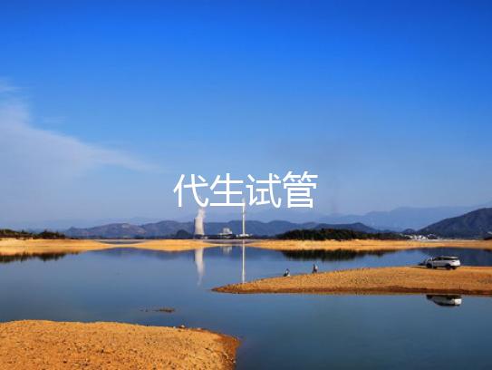 代生试管